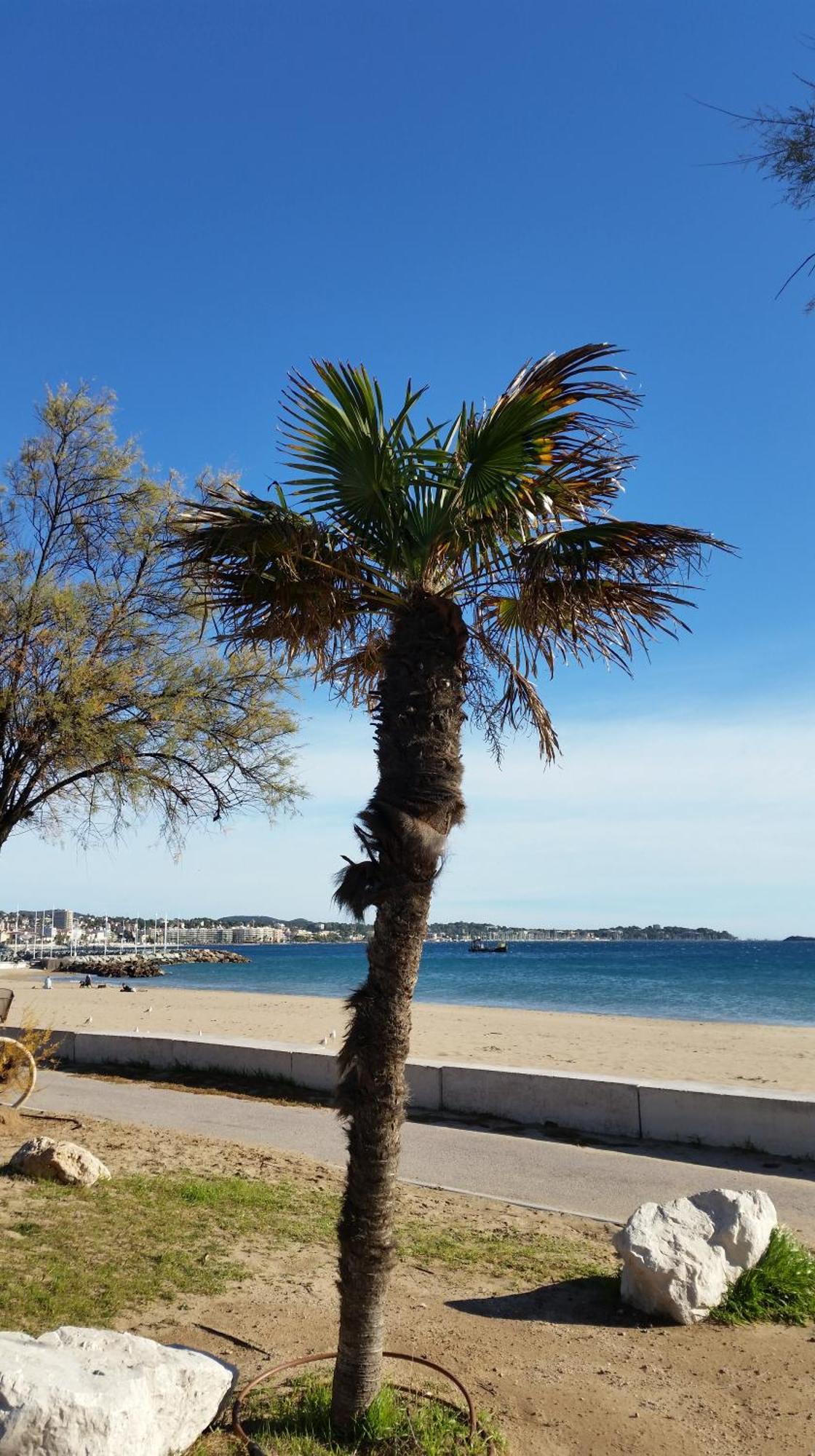 Sublime Vue Mer,Parking,Wifi Fréjus エクステリア 写真