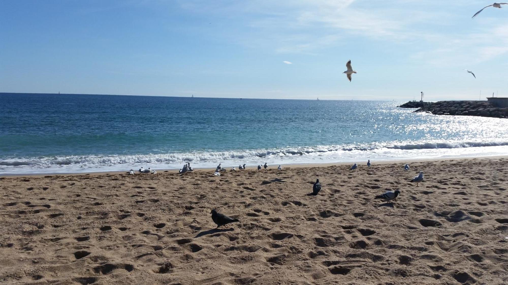 Sublime Vue Mer,Parking,Wifi Fréjus エクステリア 写真