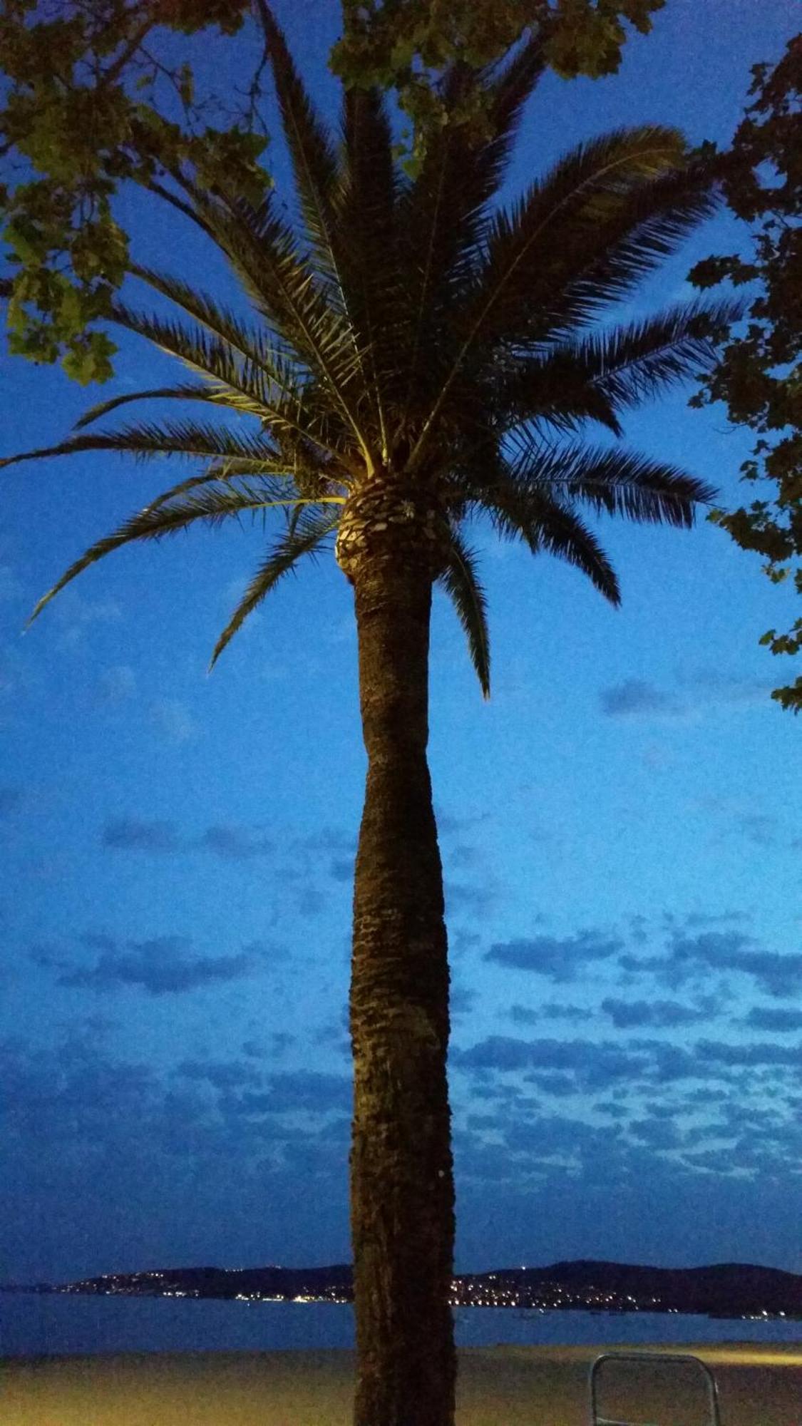 Sublime Vue Mer,Parking,Wifi Fréjus エクステリア 写真